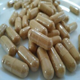 buy ibogaine online, iboga for sale USA, buy ibogaine plant, ibogaine vendors